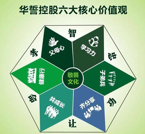 美丽岛