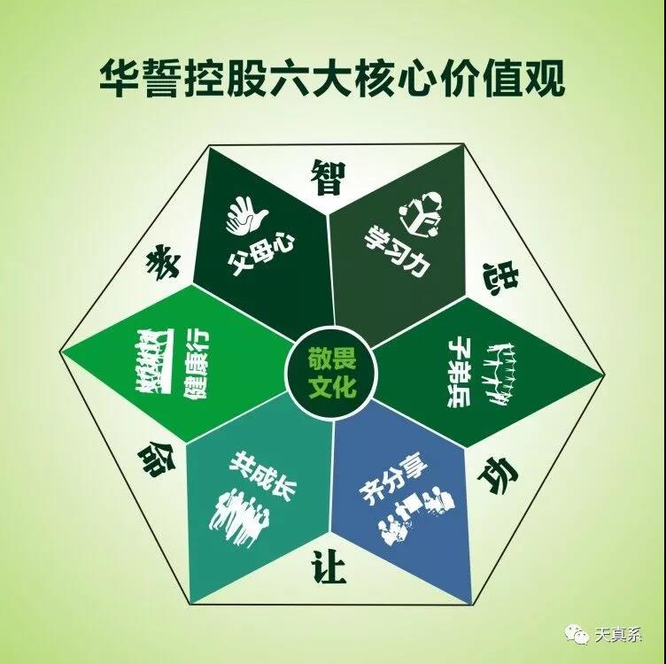 美丽岛事业