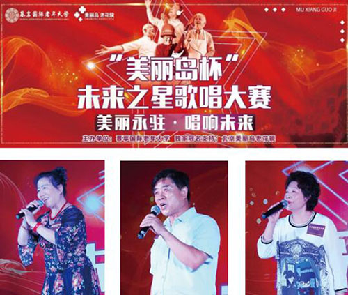 美丽岛